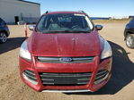 Ford Escape 2015