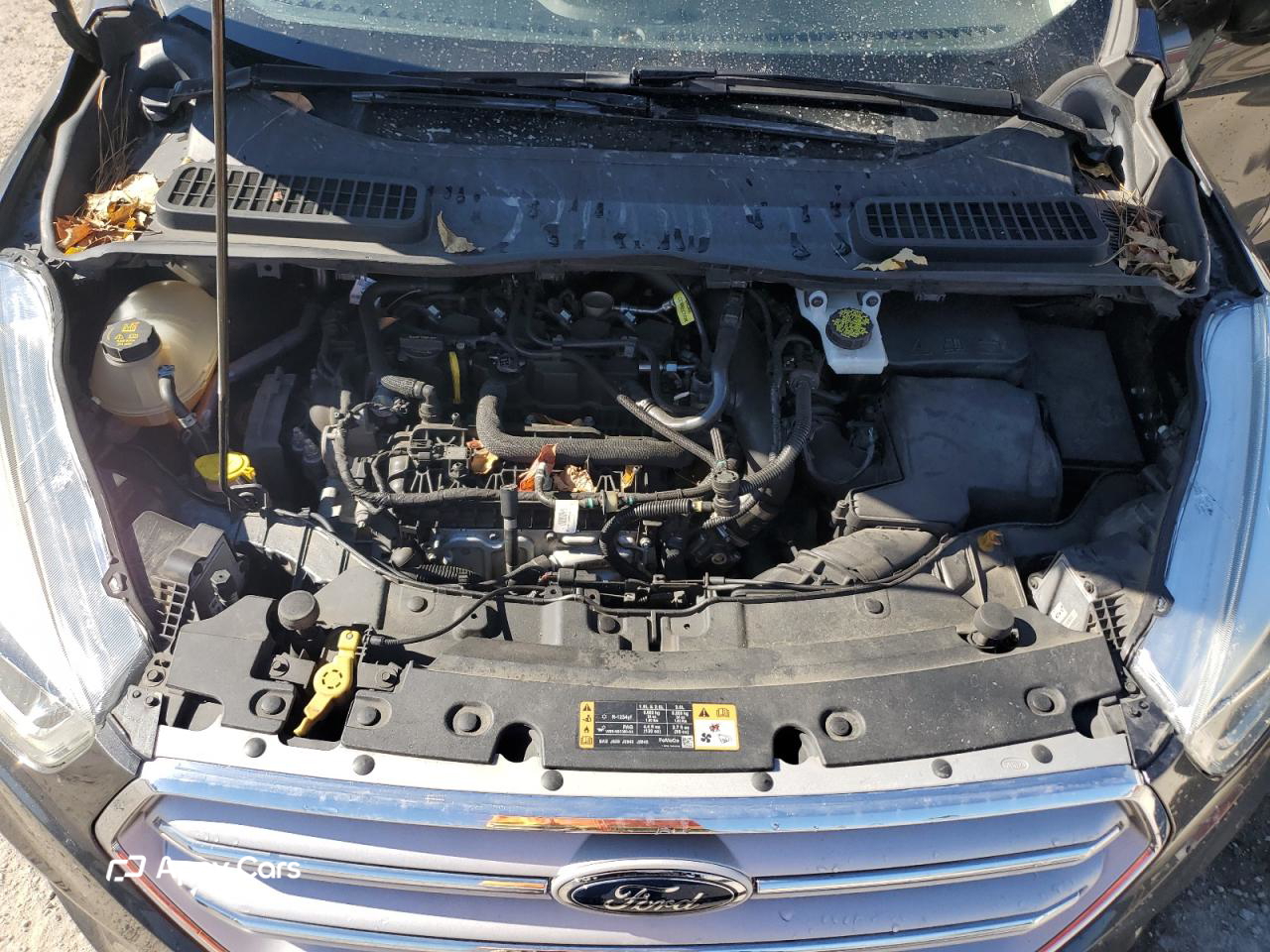 Ford Escape 2018