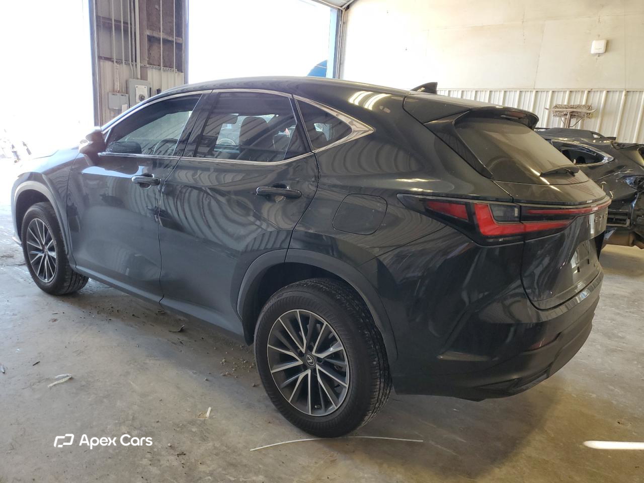 Lexus NX 2022