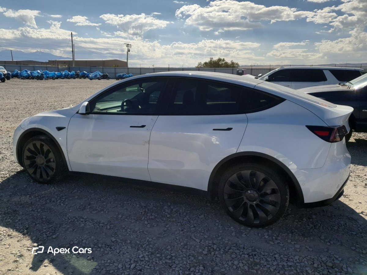 Tesla Model Y 2021