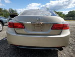 Honda Accord 2013