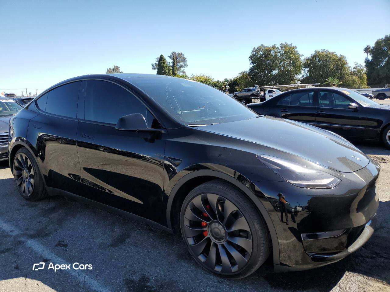 Tesla Model Y 2024