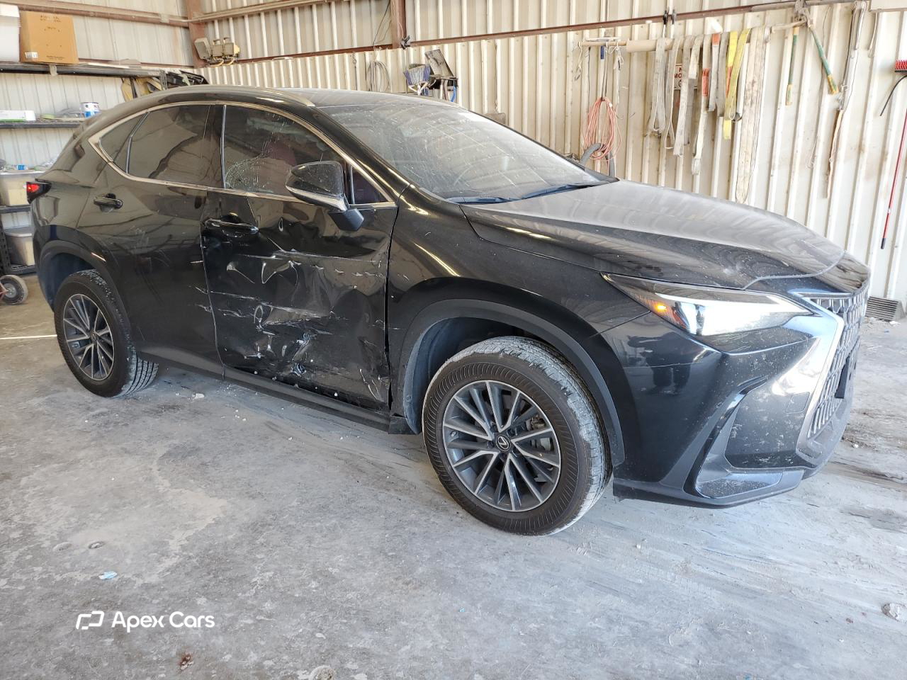 Lexus NX 2022