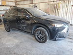 Lexus NX 2022