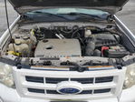 Ford Escape 2011