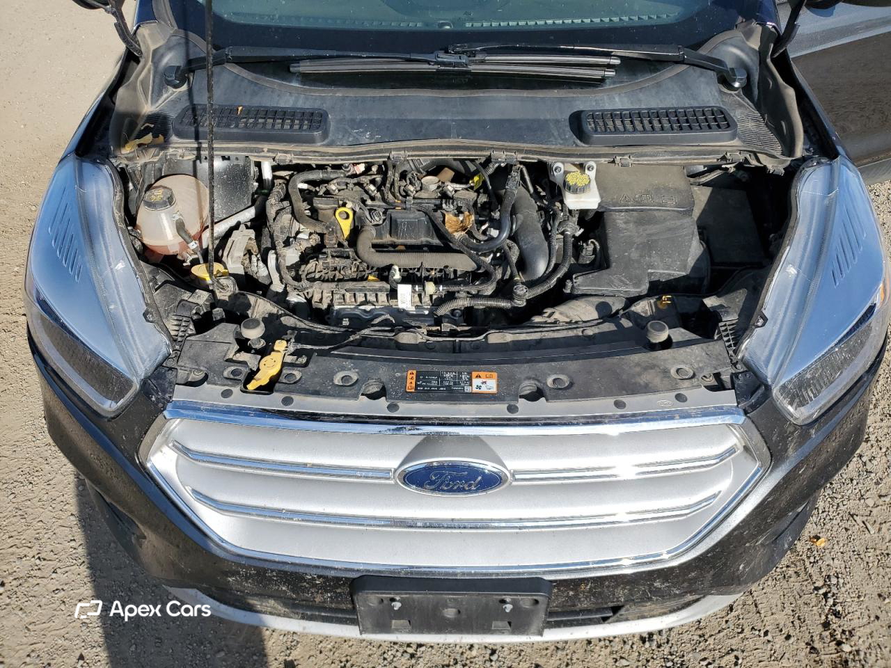 Ford Escape 2019