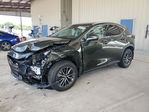 Lexus NX 2025