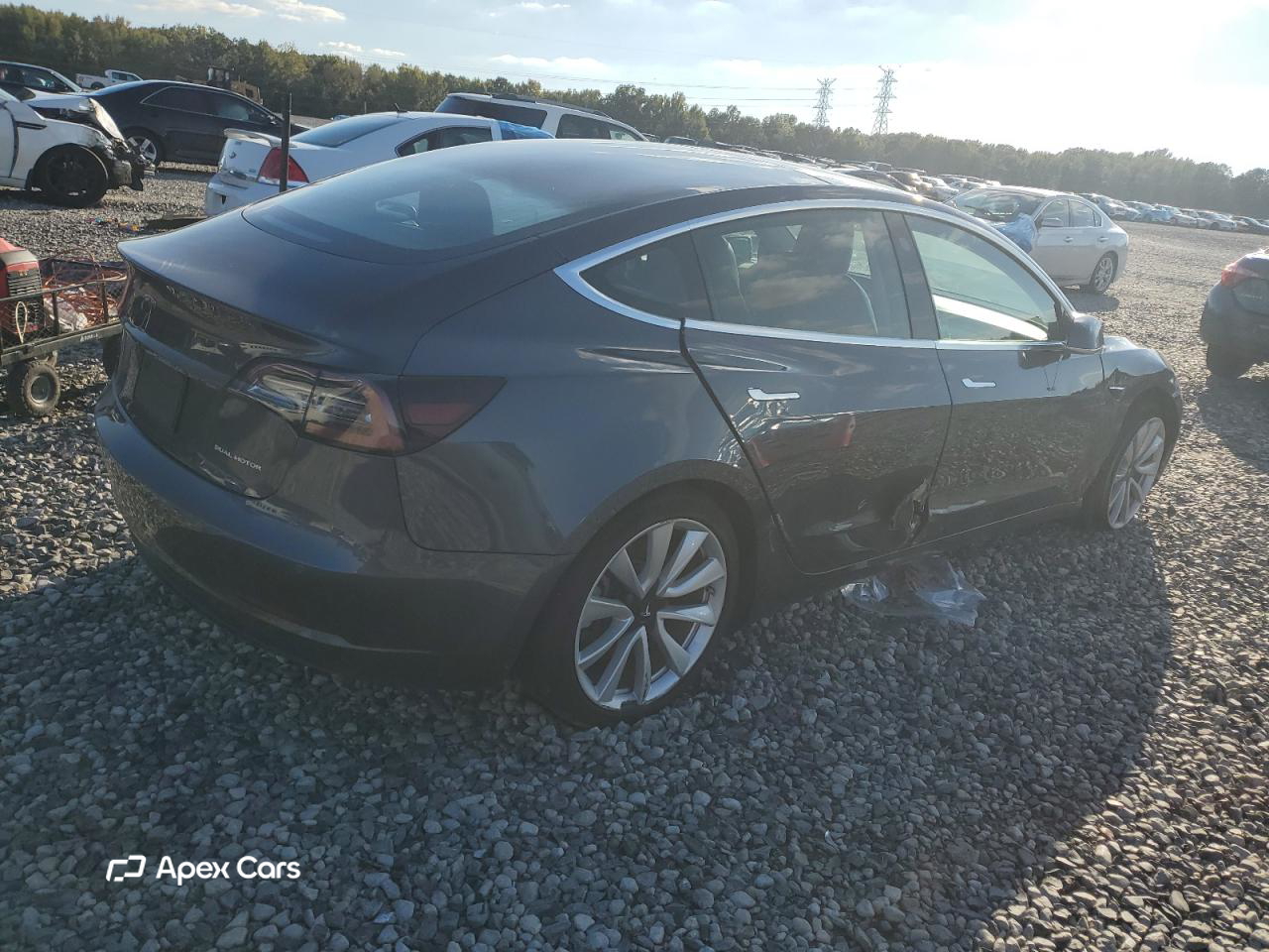 Tesla Model 3 2019