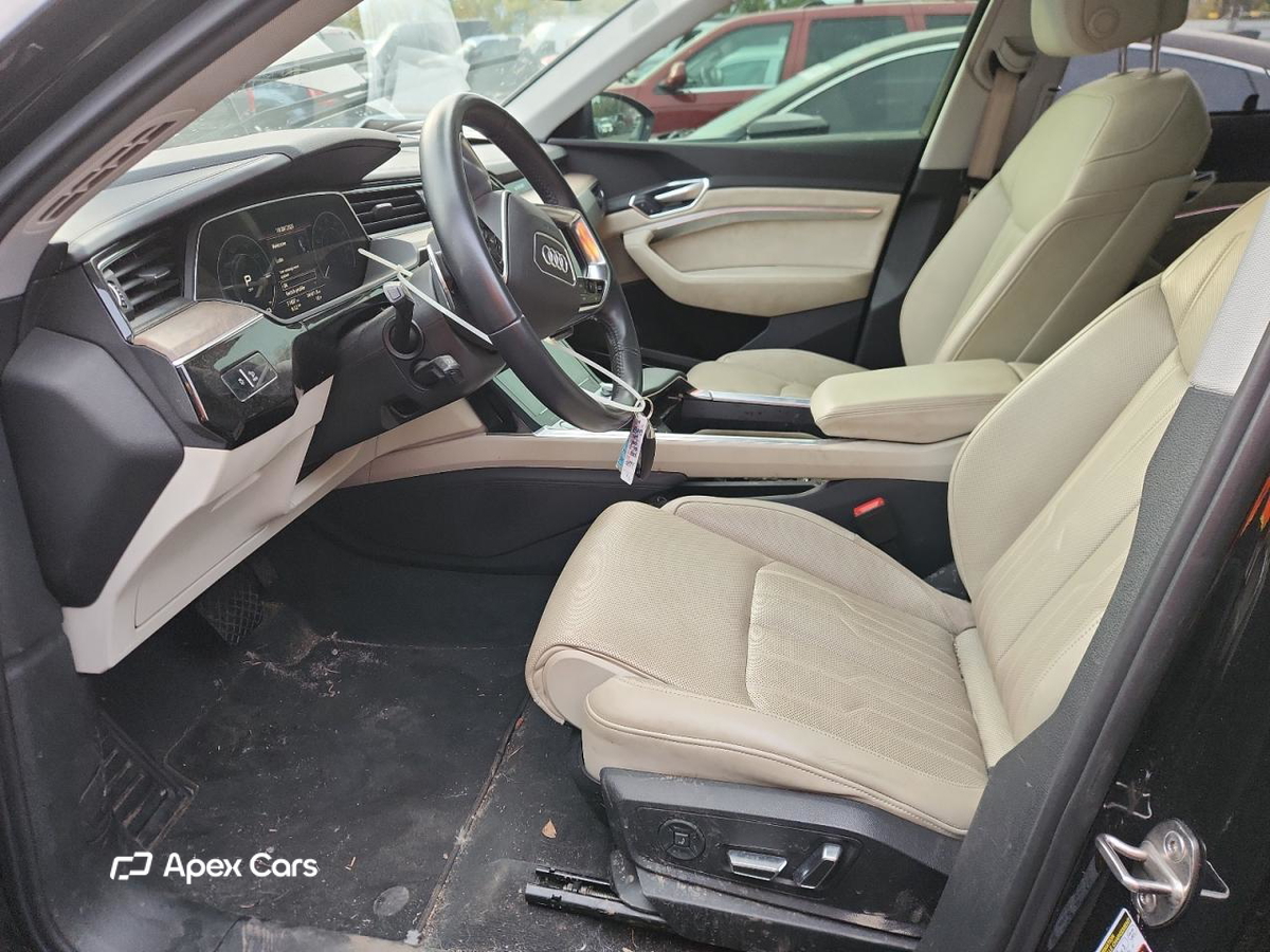 Audi e-tron 2019