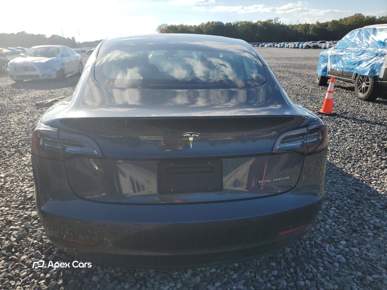 Tesla Model 3 2019