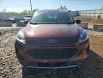 Ford Escape 2021