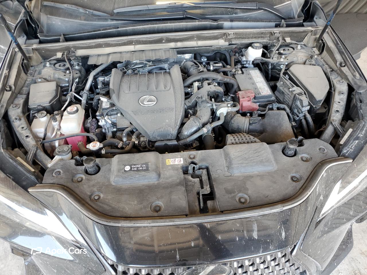 Lexus NX 2022