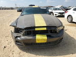 Ford Mustang 2013