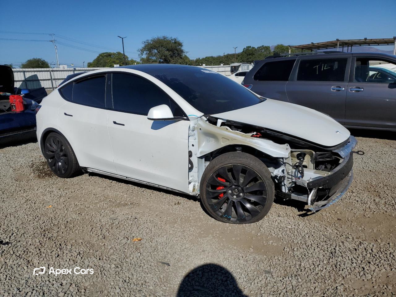 Tesla Model Y 2024