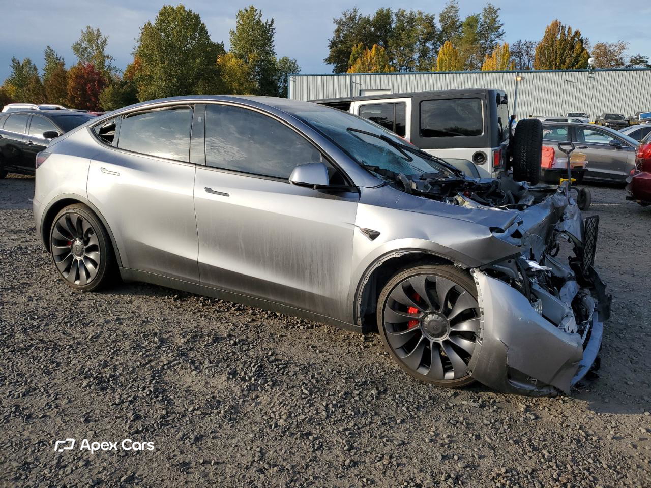 Tesla Model Y 2025