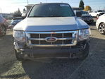 Ford Escape 2011