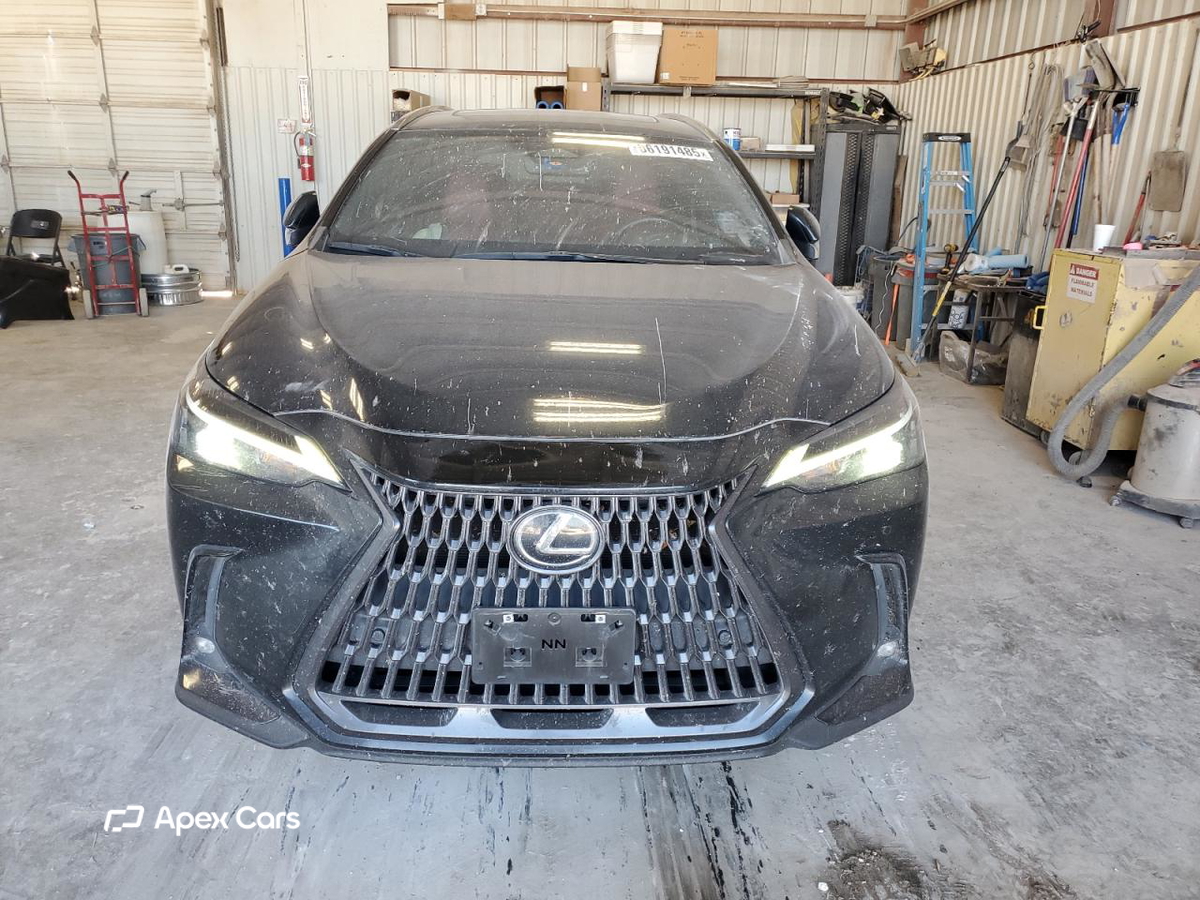 Lexus NX 2022
