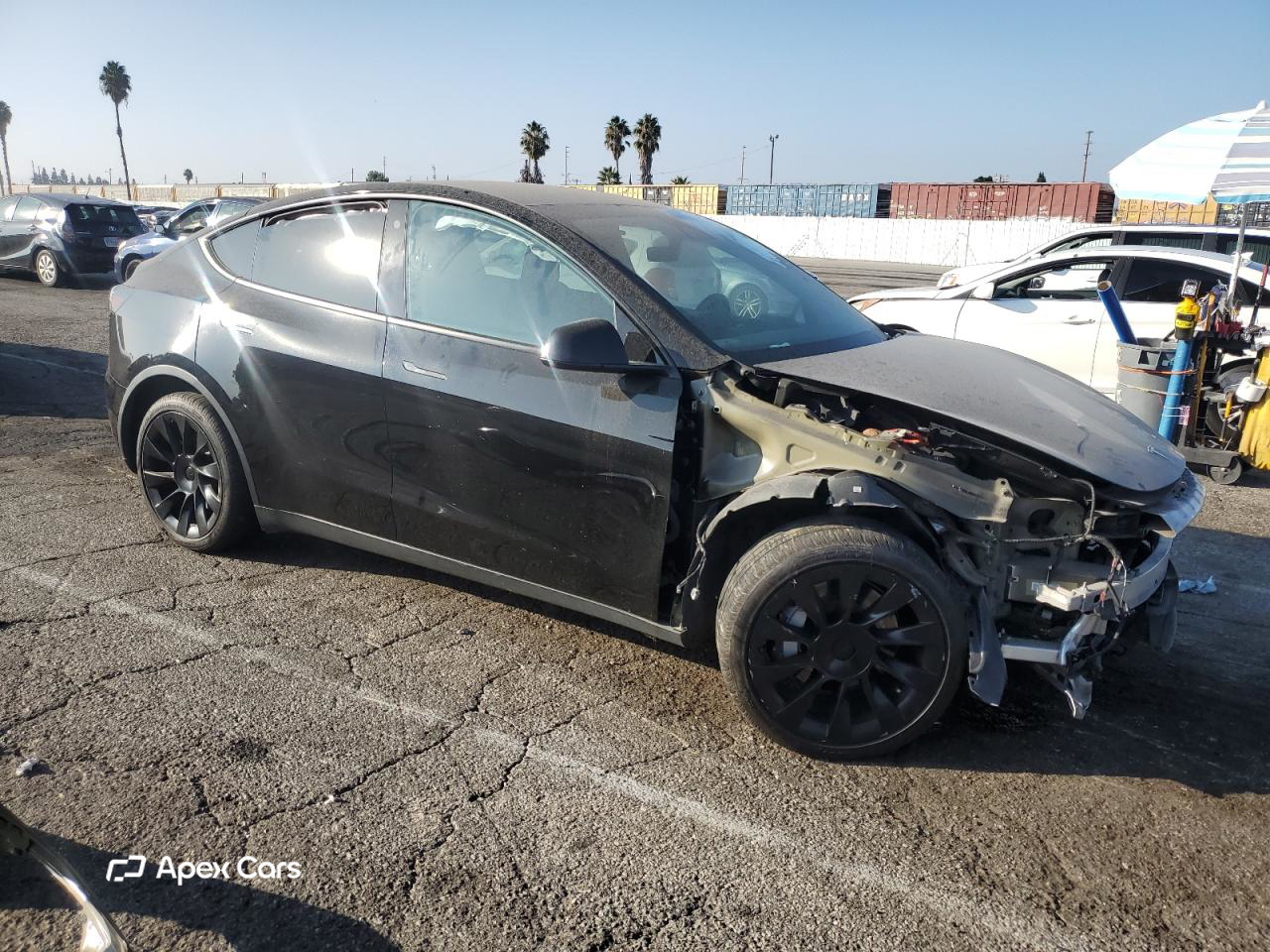 Tesla Model Y 2023