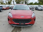 Ford Escape 2022