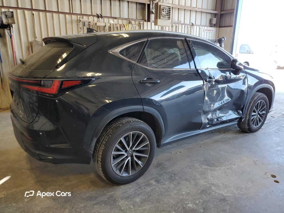 Lexus NX 2022