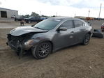 Nissan Maxima 2014