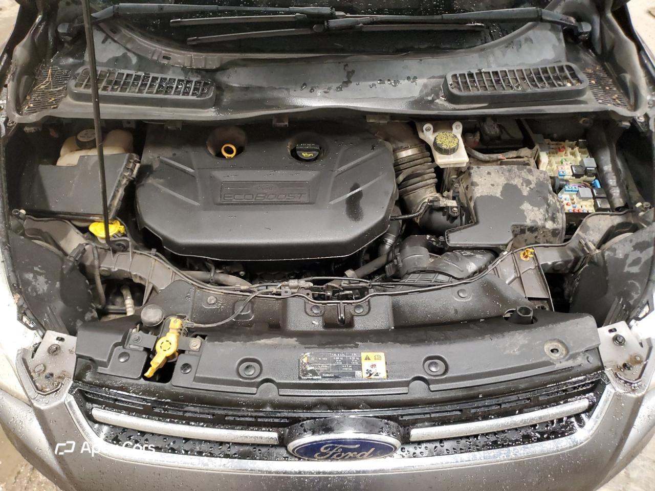 Ford Escape 2013