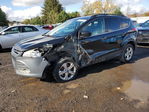 Ford Escape 2013