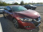 Maxima 2016