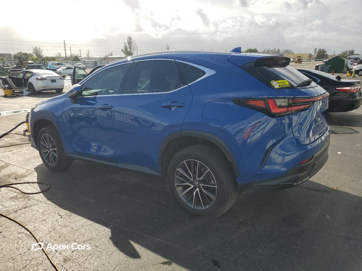 Lexus NX 2022
