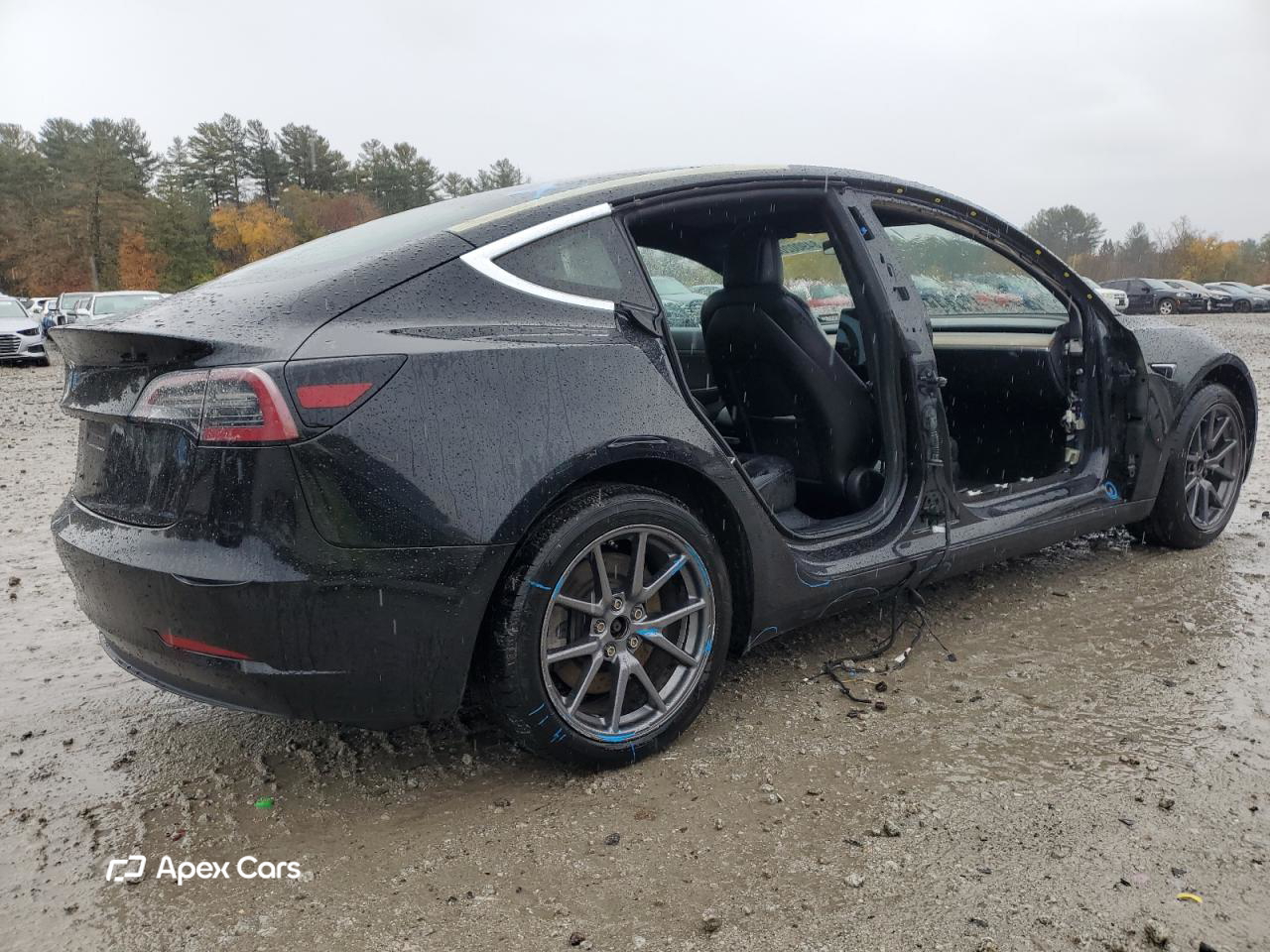 Tesla Model 3 2018
