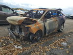 Lexus RX 2010