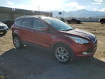 Ford Escape 2014