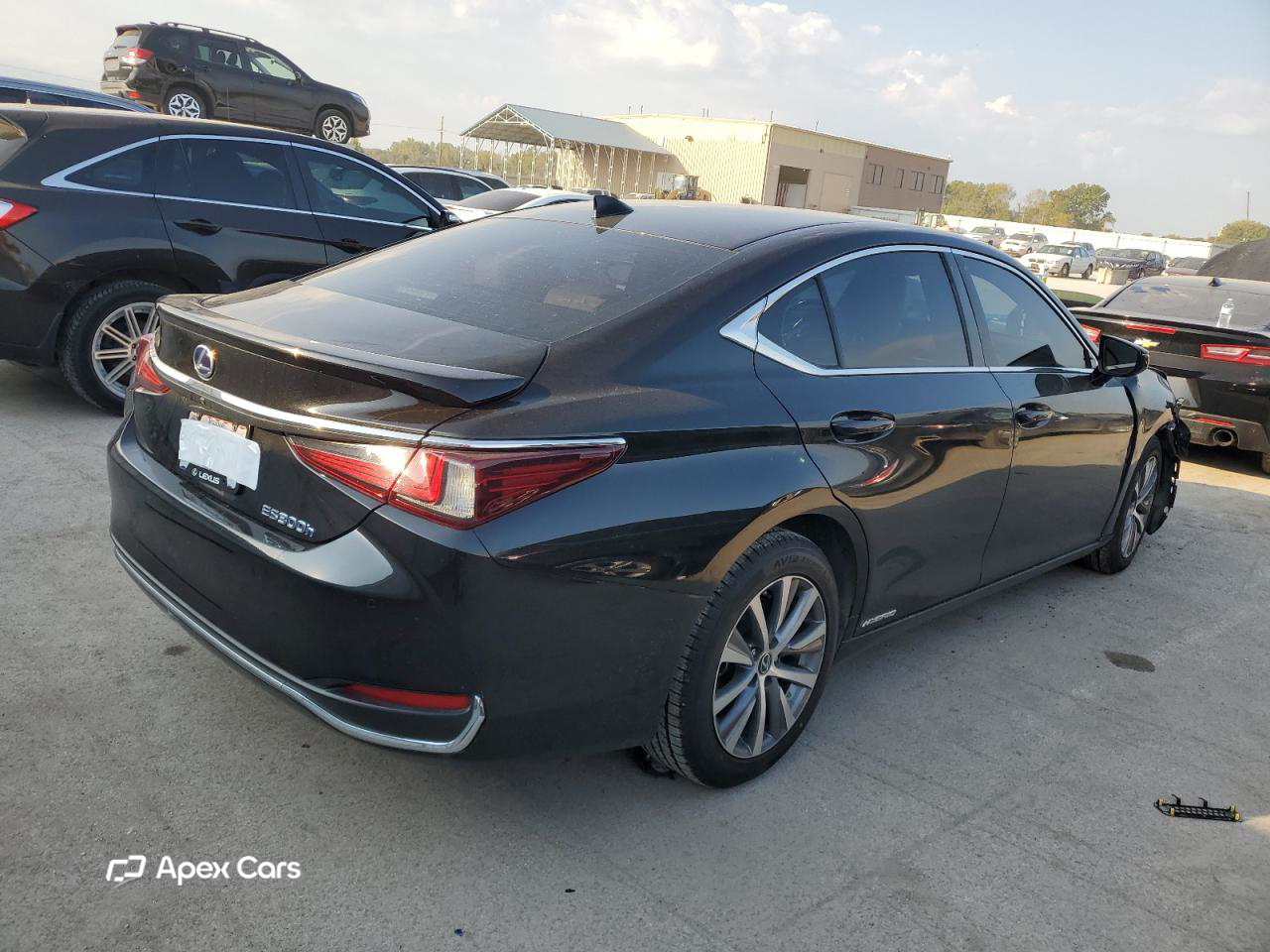 Lexus ES 2020