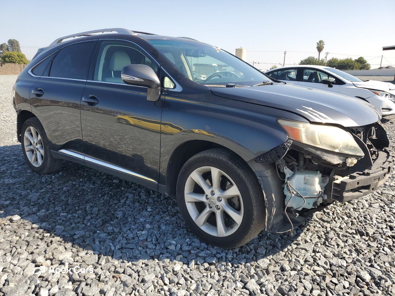 Lexus RX 2011