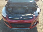 Ford Escape 2016