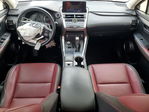 Lexus NX 2019