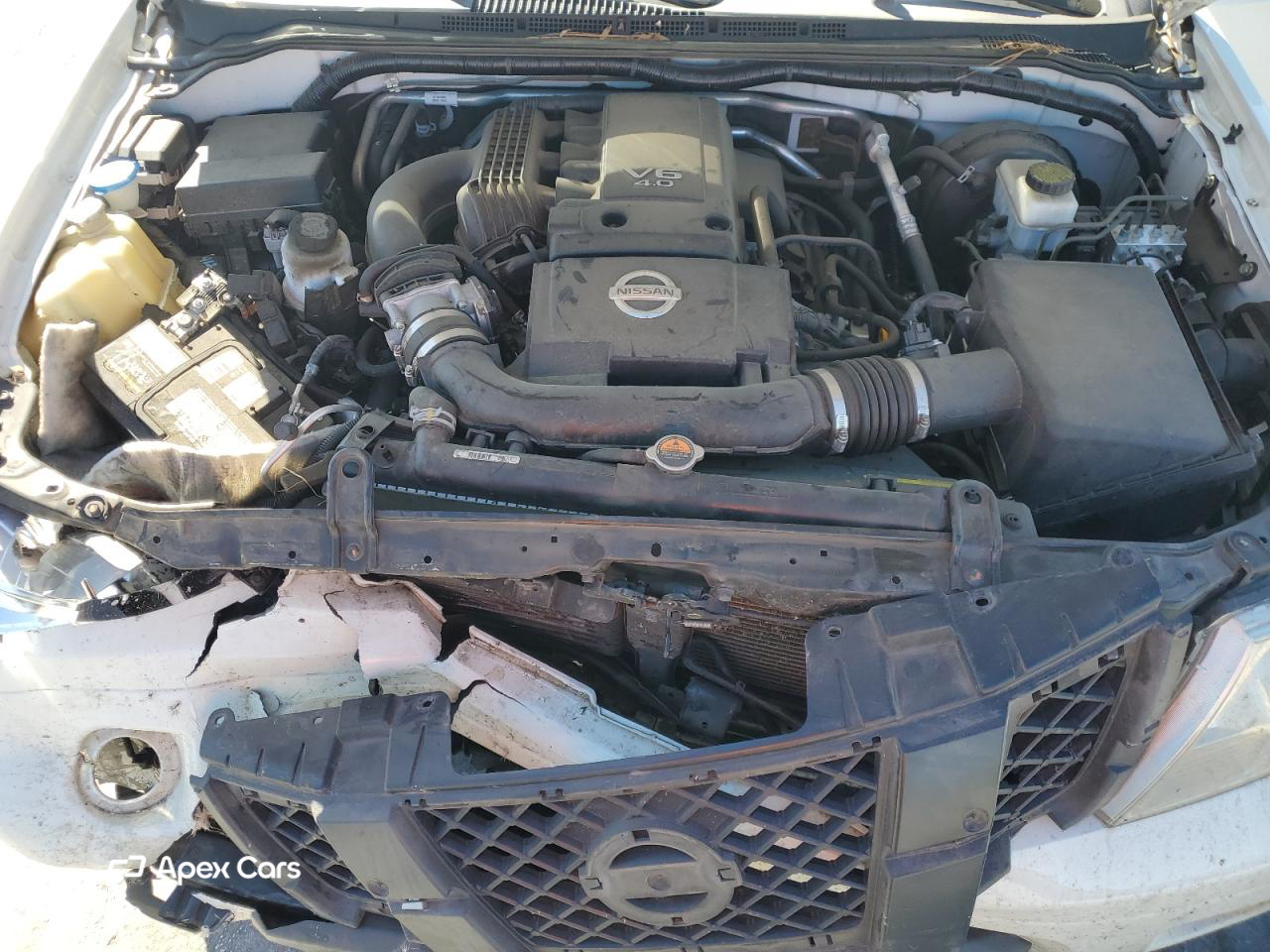 Nissan Navara (Frontier) 2019