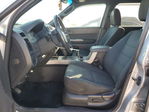 Ford Escape 2011