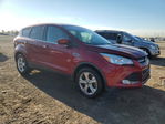 Ford Escape 2016