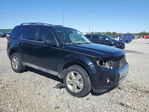 Ford Escape 2012