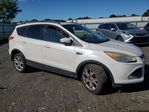 Ford Escape 2013