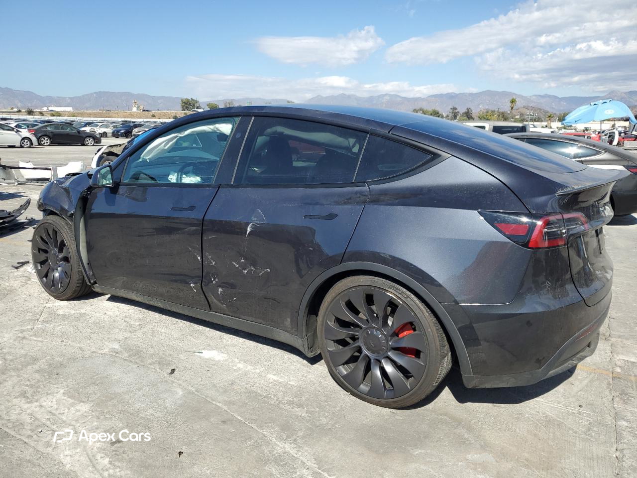 Tesla Model Y 2024