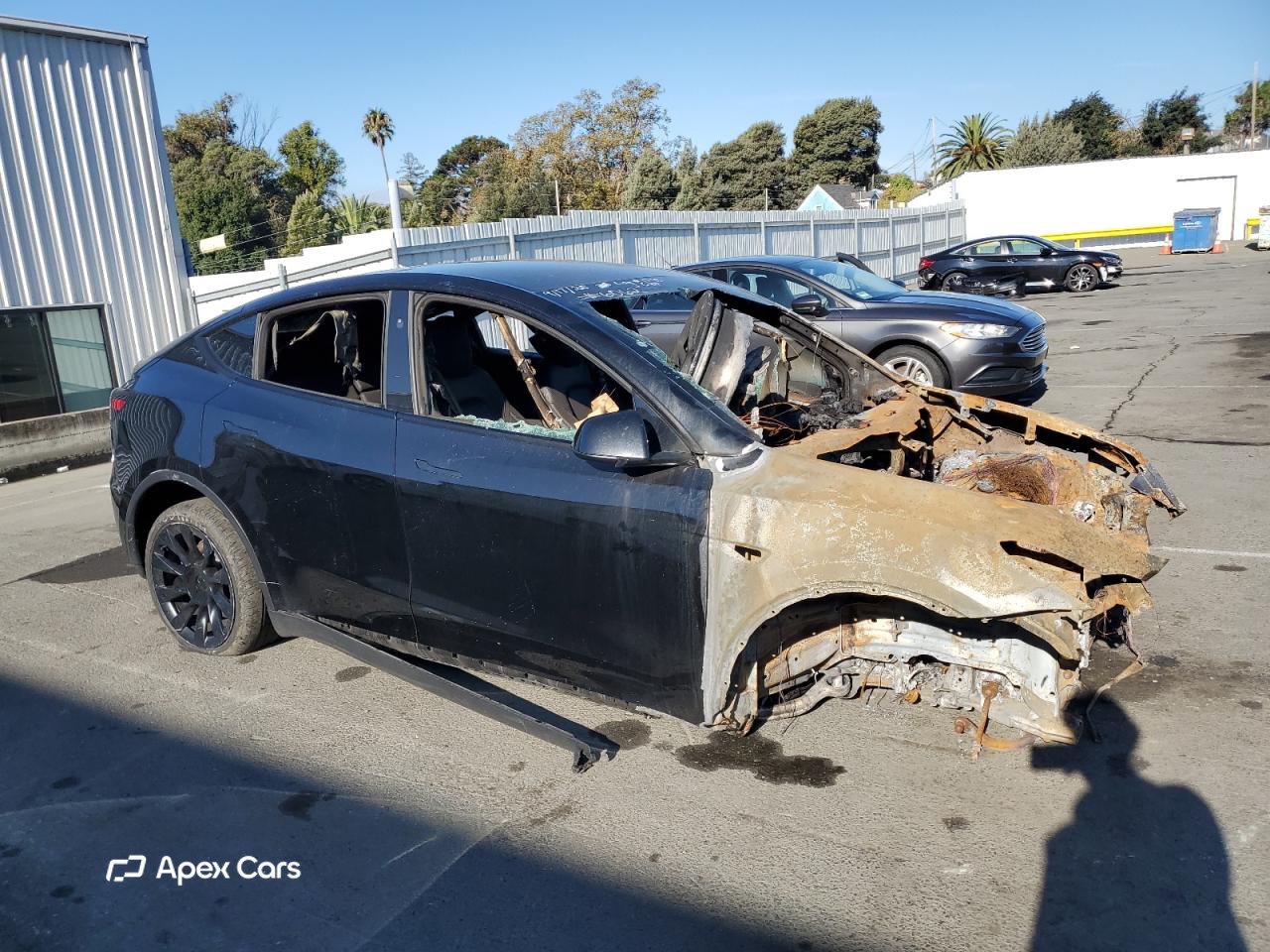 Tesla Model Y 2024