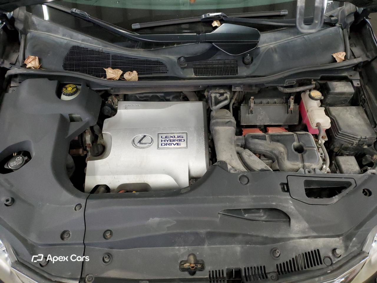 Lexus RX 2010