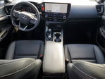 Lexus NX 2022