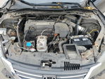 Honda Accord 2013