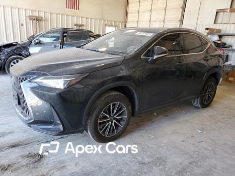 Lexus NX 2022 - Image 1 of 14