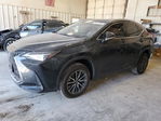 Lexus NX 2022
