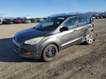 Ford Escape 2016
