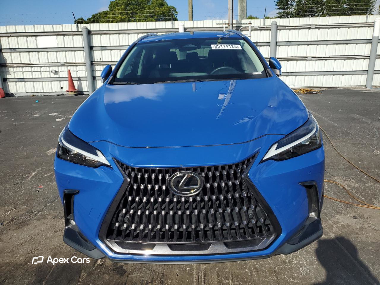 Lexus NX 2022